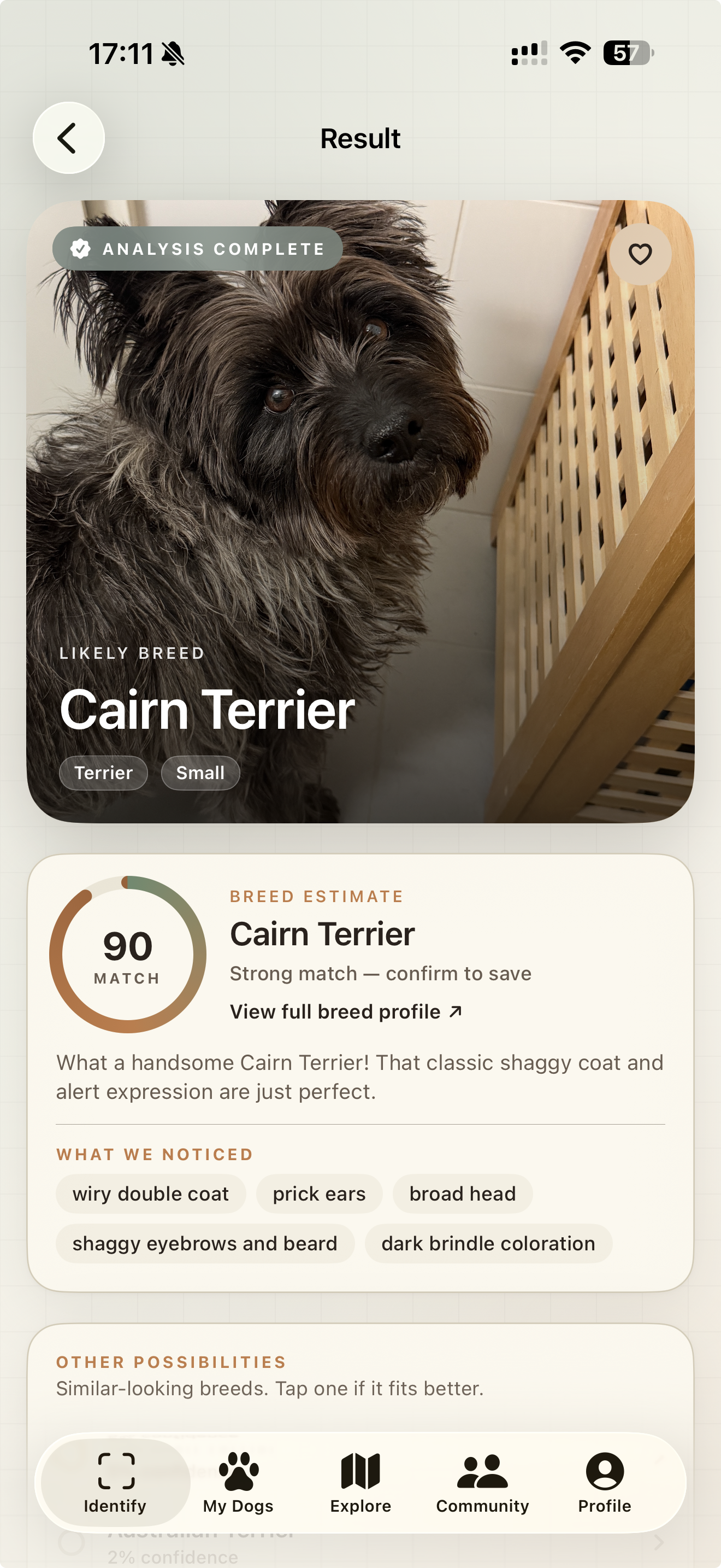 PawScope Results - Cairn Terrier breed identification